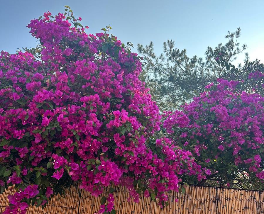 Life giving water -- Spring Update from Matos in Mexico