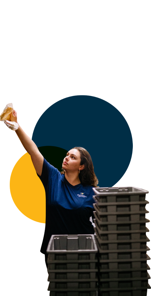 eFulfillment Service Employee at Scanner Station Many Dots