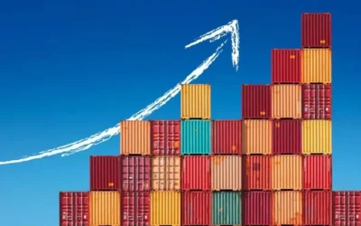 Understanding FBA Fees in 2025: Breakdown of FBA Fees and Charges, How to Calculate Potential Costs and Profits